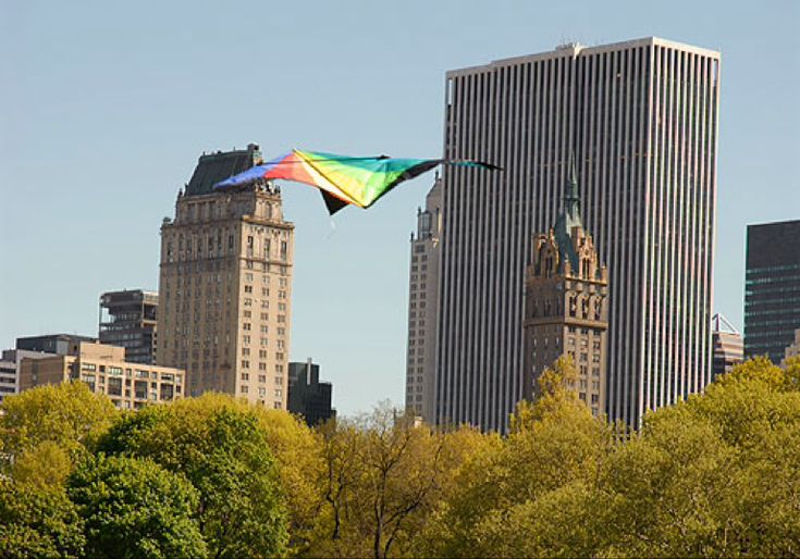 Central Park in New York City Kite Flying