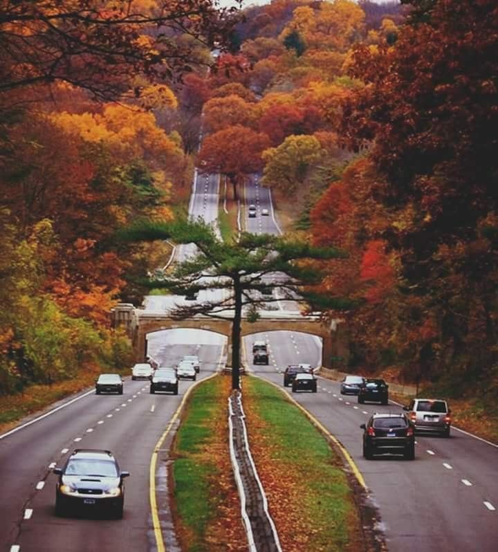 Merritt Parkway, Connecticut