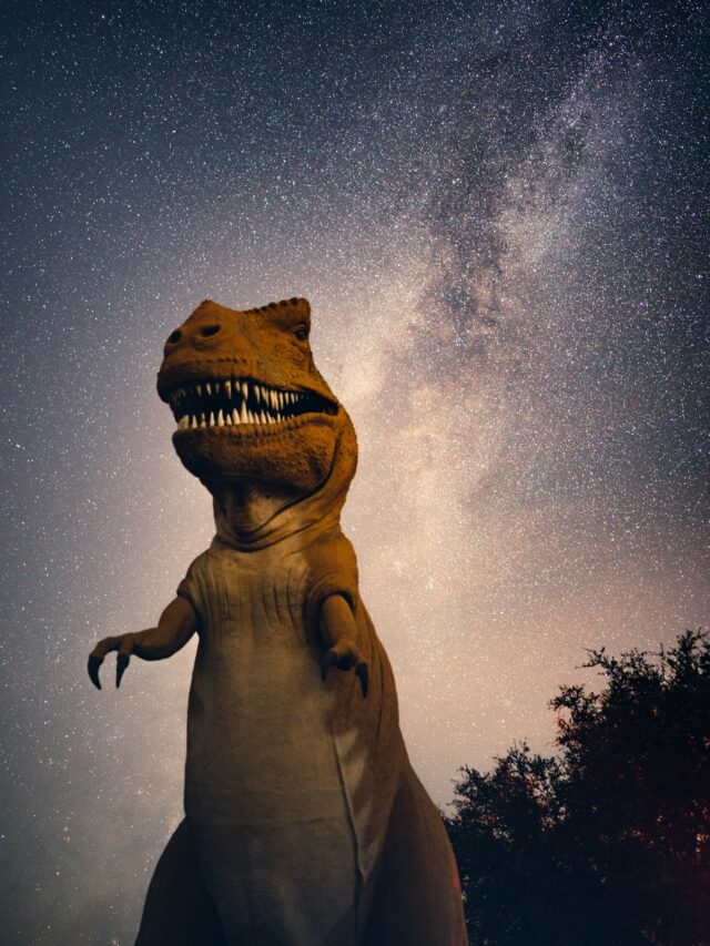 5 AMAZING FUN FACTS ABOUT DINOSAURS