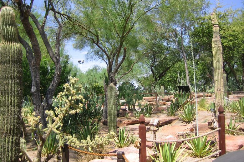 Ethel M Botanical Cactus Garden