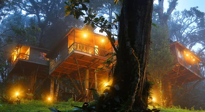 Nature Zone Jungle Resort, Munnar