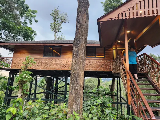 Tranquil Resort, Wayanad