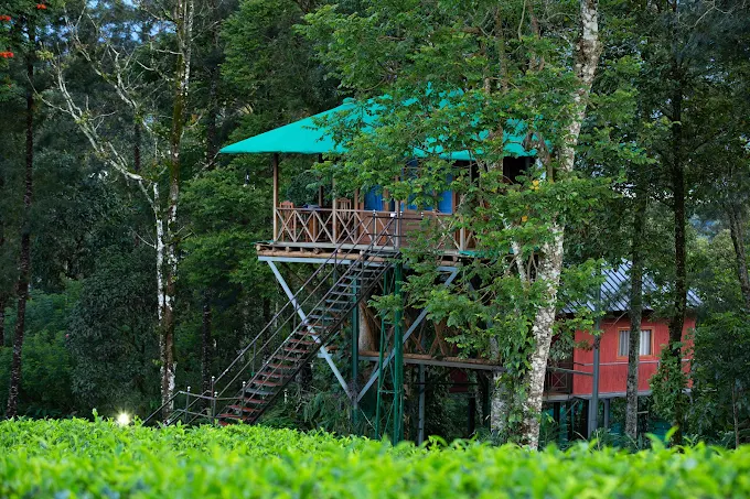 Dream Catcher Plantation Resort, Munnar