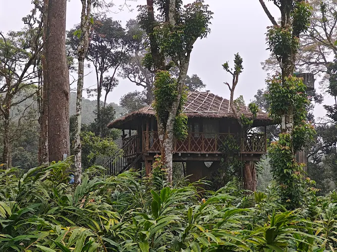 Carmelia Haven, Thekkady