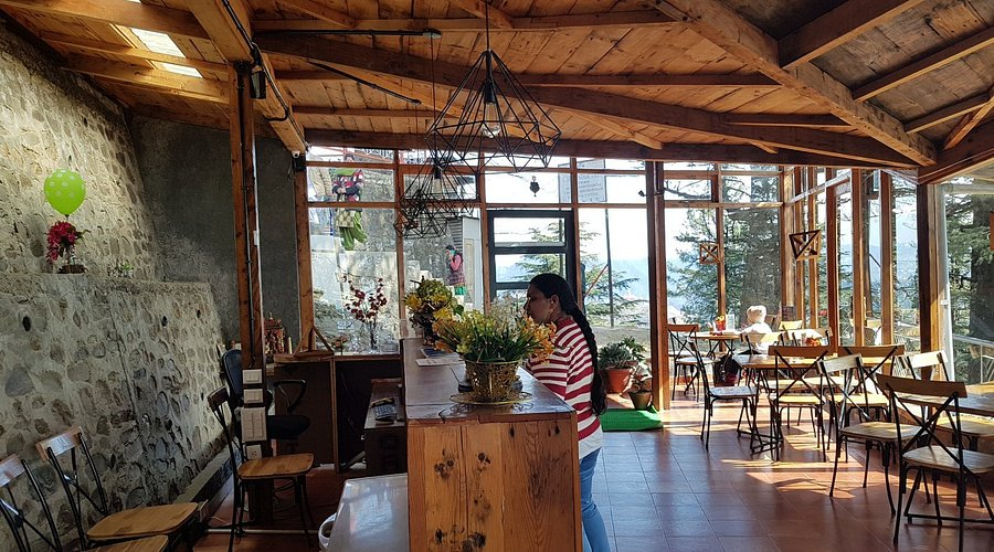 Hidden Cafes in Shimla Near Lakkar Bazaar