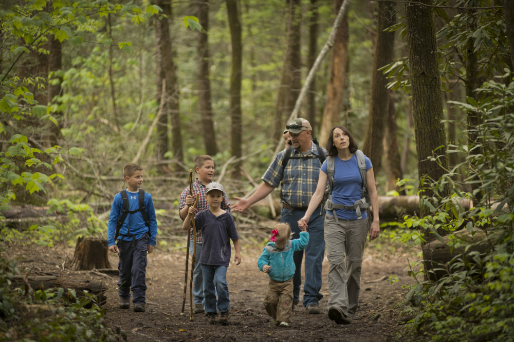 A Family Hiking in the Great Smoky Mountains