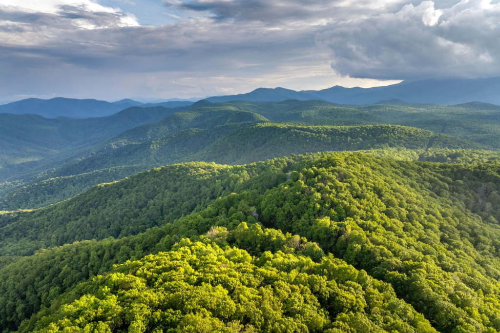 Greenest U.S. States 2026