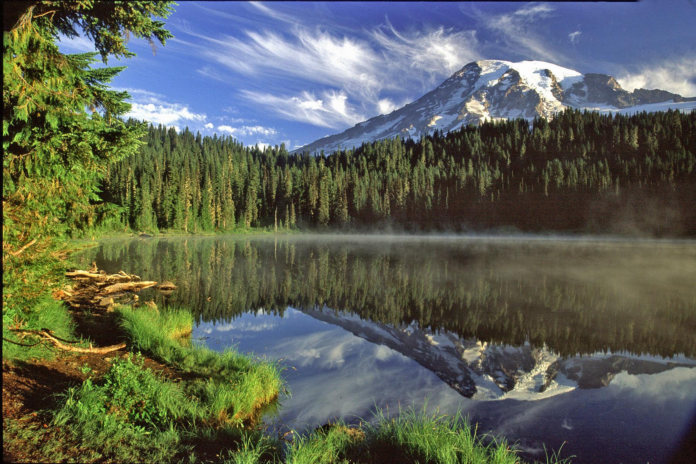 Greenest U.S. States 2026