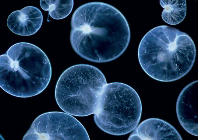 Secret California Beaches