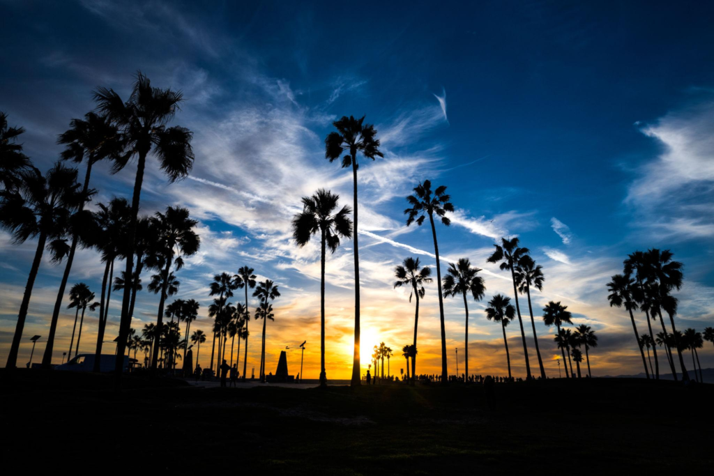 Beach lifestyle in Los Angeles California