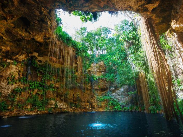 A deep blue cenote in Riviera Maya with lush green plants and long roots hanging from the rocky opening above