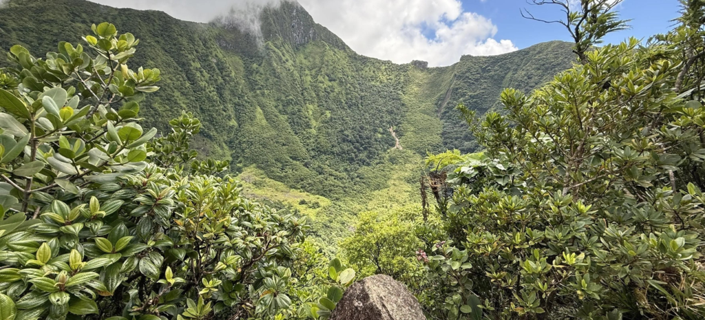 Mount Liamuiga, Saint Paul Capisterre, Saint Kitts and Nevis 