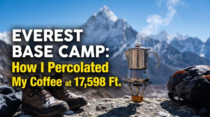 How to Use a Percolator How to Use a Percolator