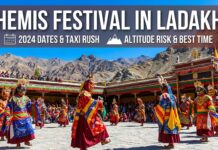 Hemis Festival in Ladakh: Dates, Taxi Rush, Altitude Risk and Best Time to Reach Hemis Festival Ladakh