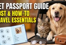 Pet Passport Guide: What It Is, Who Needs One and What It Costs Pet Passport Guide