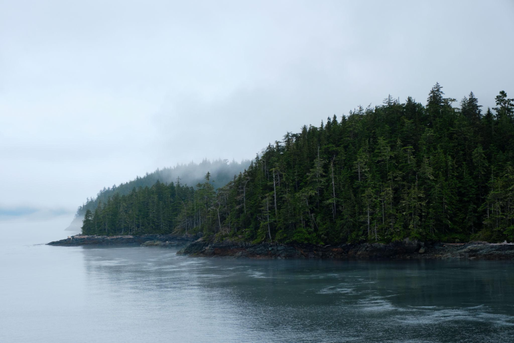Canada's wastewater restrictions are intended to protect coastal ecosystems, marine habitats, and tourism destinations that depend on clean shorelines and healthy waters.