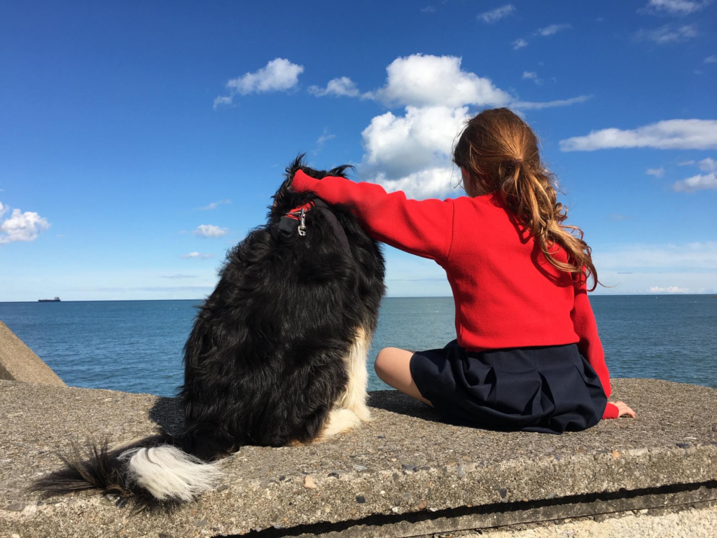 Relaxed dog resting comfortably with owner