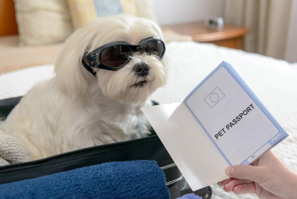 Pet Passport Guide