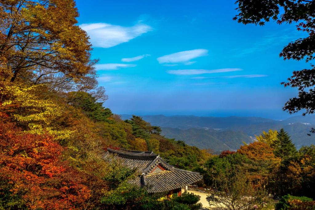Traditional tiled-roof building surrounded by red and yellow autumn foliage in the Gyeongju mountains
