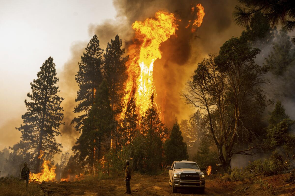 wildfires