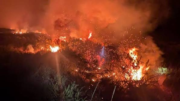 Devon and Cornwall Wildfire Warning