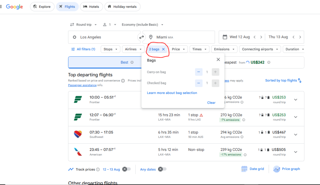 Google Flights Bags Filter