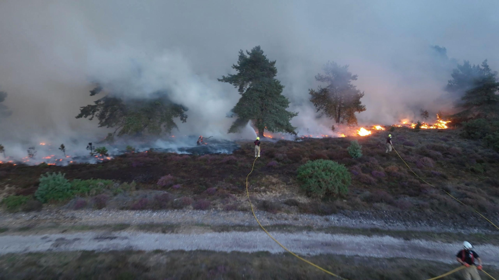 Dunwich Heath Wildfire Closure