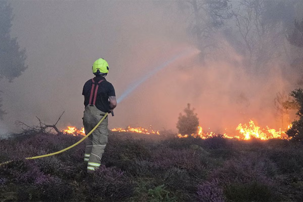 Dunwich Heath Wildfire Closure