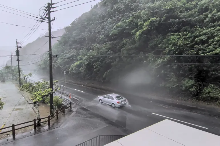 Typhoon Dolphin