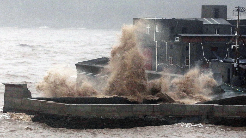 Typhoon Dolphin