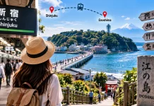 From Shinjuku to Sagami Bay: Day Trip Itinerary for Enoshima Island in Kanagawa Day Trip Itinerary for Enoshima Island in Kanagawa