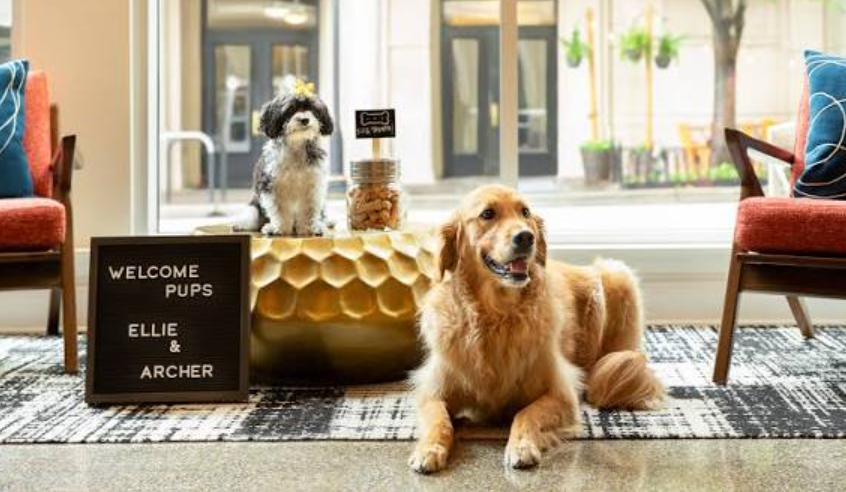 Dog-Friendly Hotels