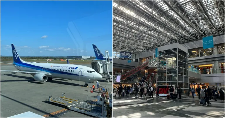 Japan Visa Fees and Airport Customs